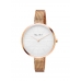Elixa BEAUTY E127-L527 36mm 0